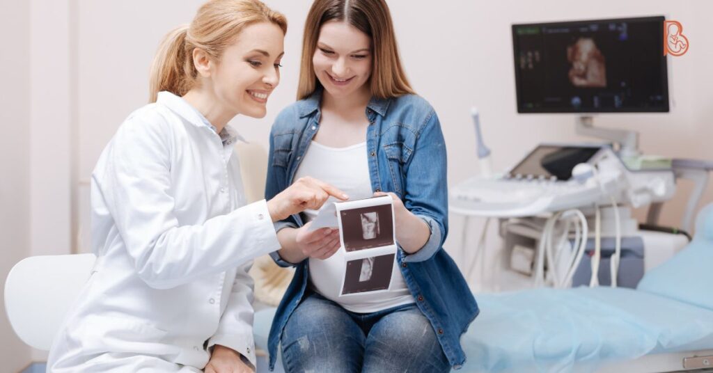 Gestante recebendo atenção de obstetra em consultório moderno